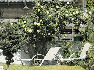Ferienhaus Nykøbing Sjælland  13