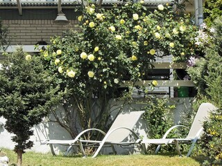 Vakantiehuis Nykøbing Sjælland  39