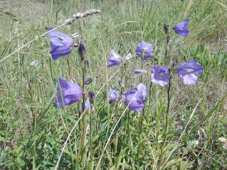 Vakantiehuis Nykøbing Sjælland  10
