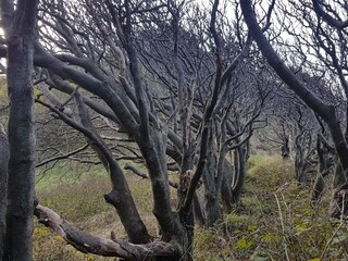 Vakantiehuis Nykøbing Sjælland  34