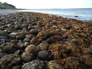 Casa de vacaciones Nykøbing Sjælland  29