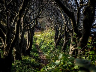 Casa de vacaciones Nykøbing Sjælland  31