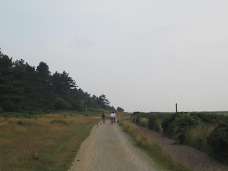 Ferienwohnung Sahlenburg  16