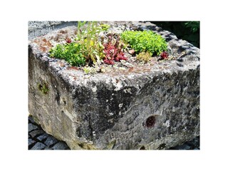 Alter Stein mit Blumen