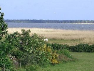 Blick auf den Bodden