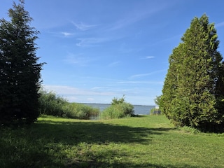 Liegewiese am Hundestrand in Fuhlendorf