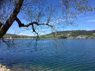 Holiday apartment Oberägeri Environment 38