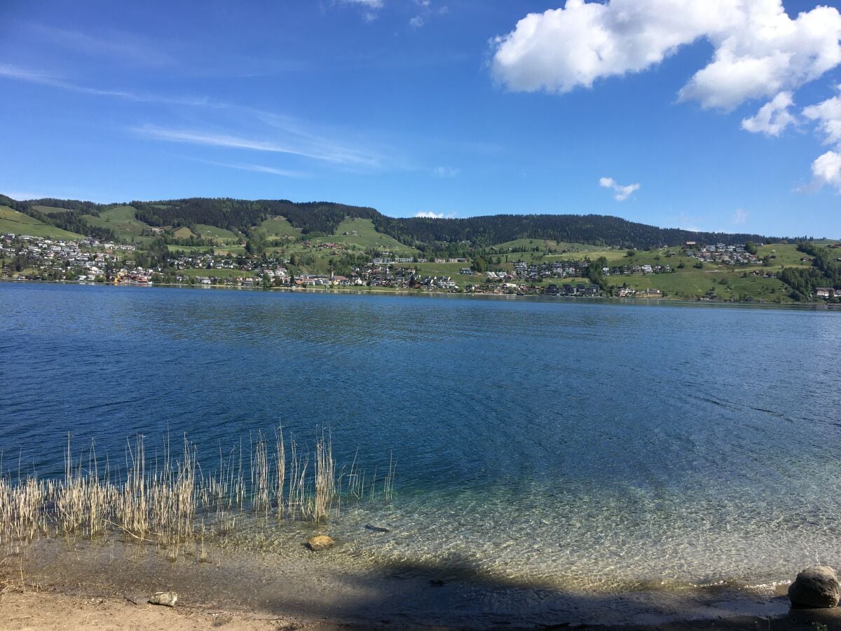 Ägerisee Sicht vom Bergwald