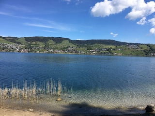 Ägerisee Sicht vom Bergwald