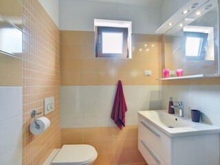 Villa Ližnjan Caratteristiche 19