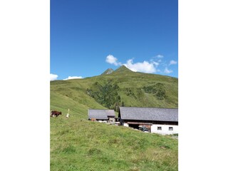 Vakantieappartement Mittersill Omgeving 19