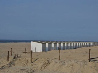 Casa per le vacanze De Cocksdorp Documento 24