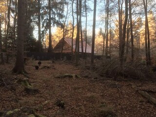 Mitten im Wald wohnen