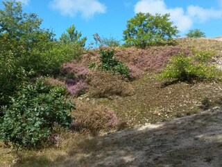 Casa per le vacanze Julianadorp Ambiente 18
