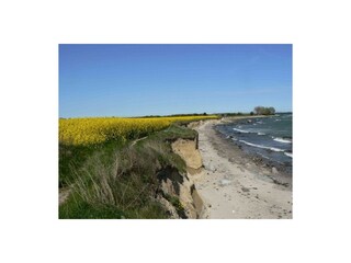 Appartamento per vacanze Großenbrode Ambiente 16