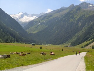 Chalet Zell am Ziller Ambiente 19