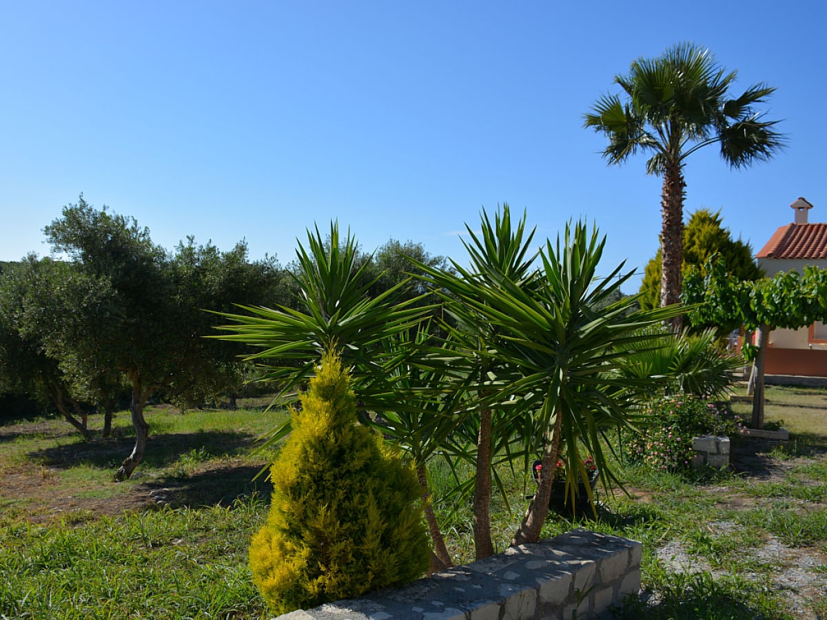 Grüner und blumiger, großer Garten