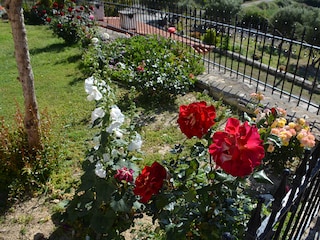 Casa per le vacanze Rethymnon Registrazione all'aperto 8