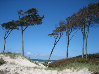 Dünenübergang zum Weststrand