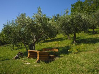 Appartamento per vacanze Ripatransone Ambiente 21