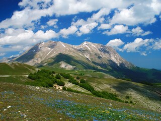 Appartamento per vacanze Ripatransone Ambiente 16