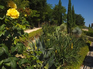 Appartamento per vacanze Ripatransone Ambiente 23