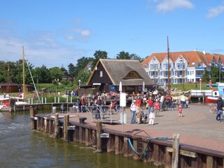 Hafen in Zingst