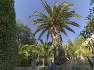 Villa Les Issambres Registrazione all'aperto 4