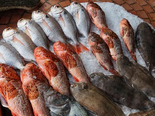 Villa Les Issambres Ambiente 28