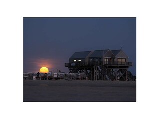 Ferienwohnung St. Peter-Ording Umgebung 16