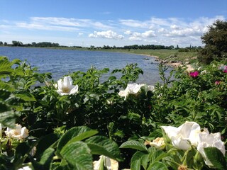 Vakantiehuis Großenbrode Omgeving 18