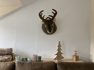 Ferienwohnung Bad Harzburg Außenaufnahme 1