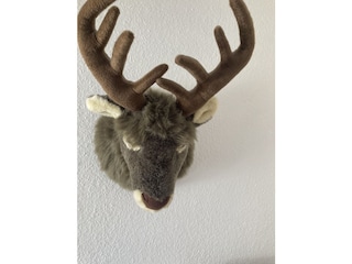 Ferienwohnung Bad Harzburg Außenaufnahme 30