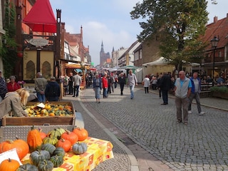 Kürbisfest in Tangermünde