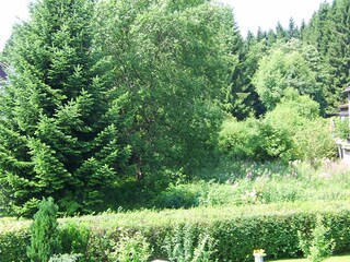 Vakantieappartement Braunlage Omgeving 23