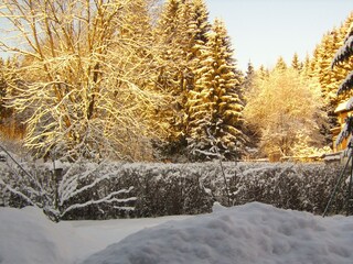 Vakantieappartement Braunlage Buitenaudio-opname 5