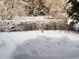 Vakantieappartement Braunlage Omgeving 24