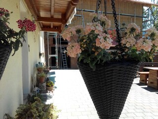 Südseite mit mit Wohlfühl Terrasse