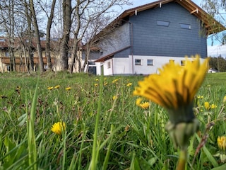 Der Frühling kommt.