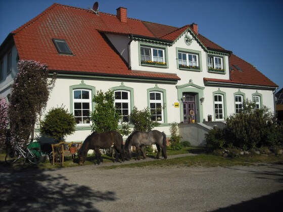 Ferienhof Landgut Plath mit Streicheltieren
