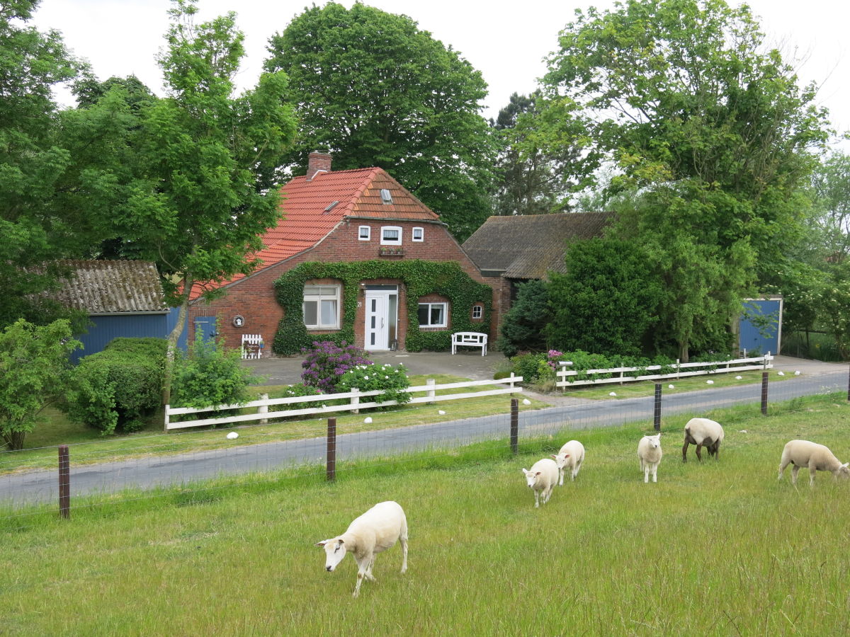 Ferienhaus "Butjenter Haus" am Deich, Nordsee, Butjadingen