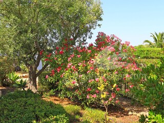 Casa per le vacanze Carvoeiro Registrazione all'aperto 14