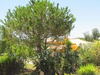 Casa per le vacanze Portimao Registrazione all'aperto 10