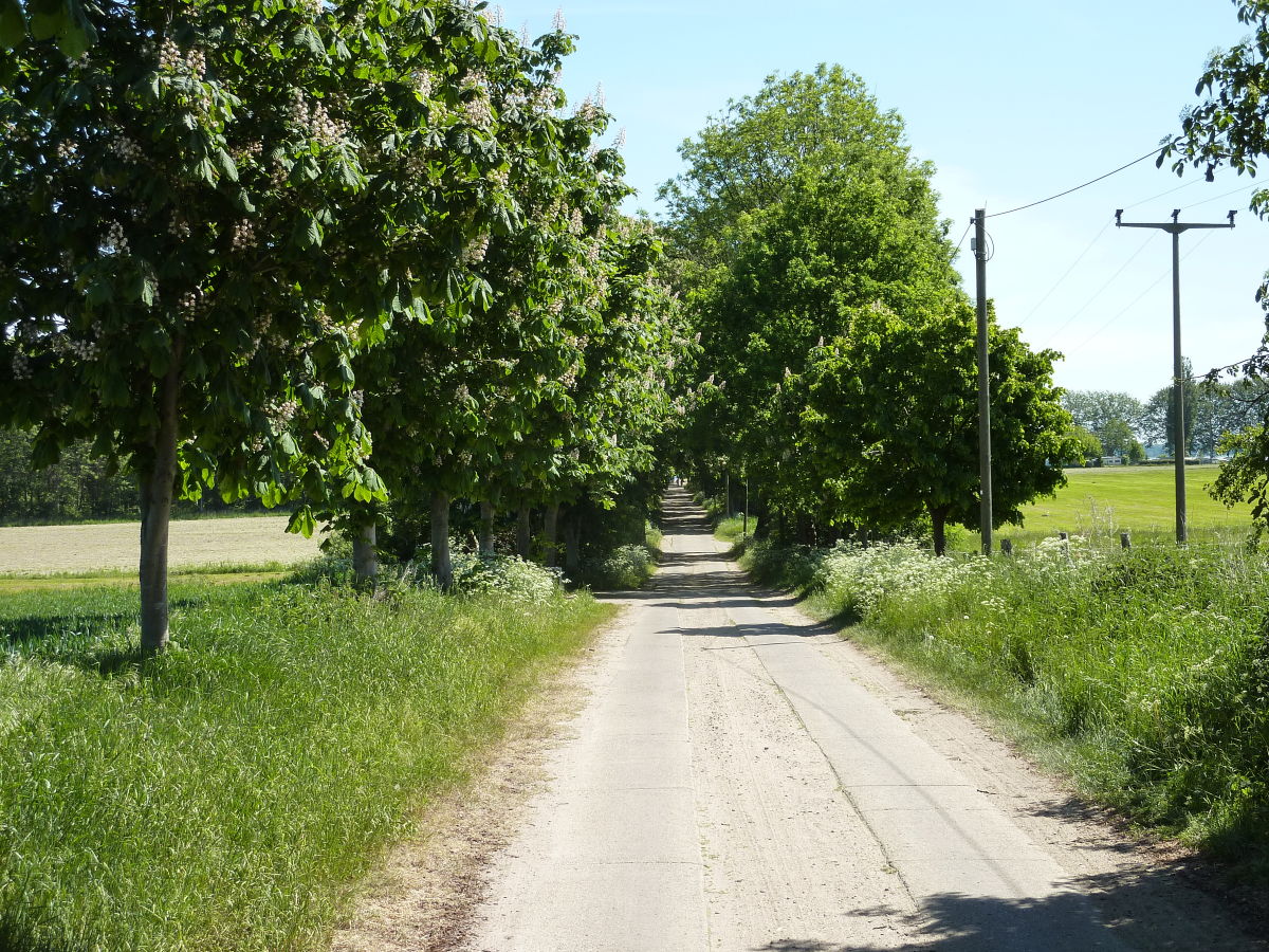 Wander und Radwege