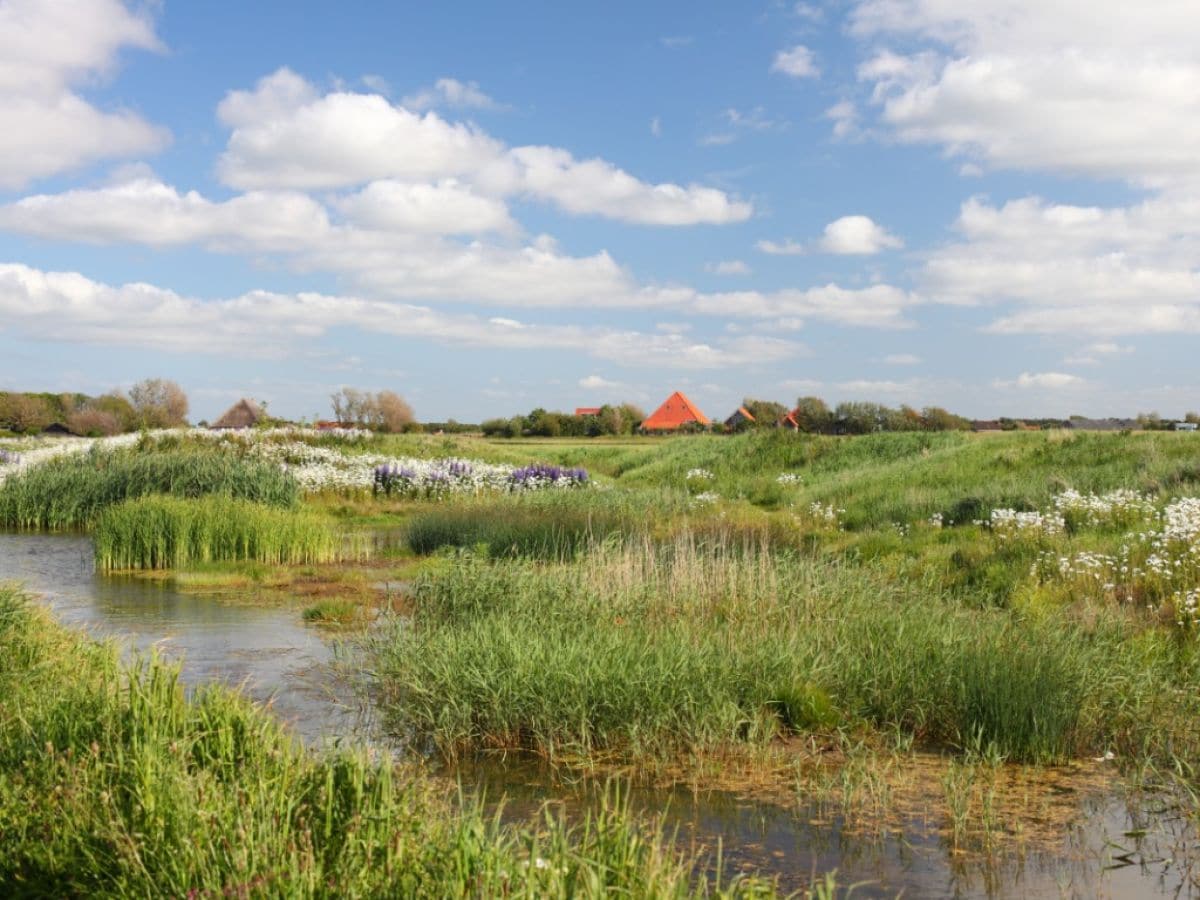 Schöne Gegend um Callantsoog