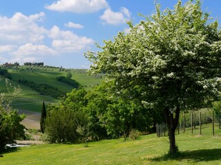 Vakantiehuis Volterra Buitenaudio-opname 9