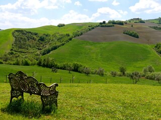 Casa per le vacanze Volterra Registrazione all'aperto 14