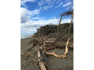 Casa per le vacanze Volterra Ambiente 36