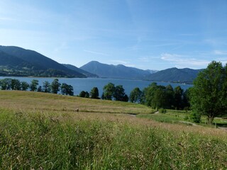 Blick von Gut Kaltenbrunn auf den Tegernsee m. Wallberg