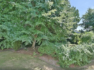 Gartenblick